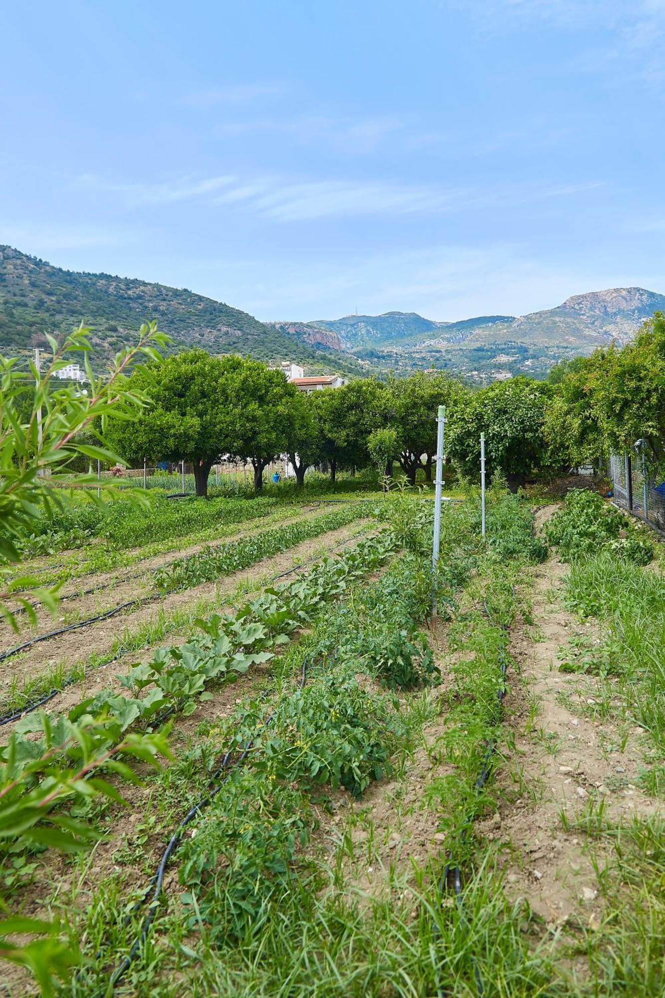 Melinda Pension & Restaurant Mesudiye (Datca) Exterior photo