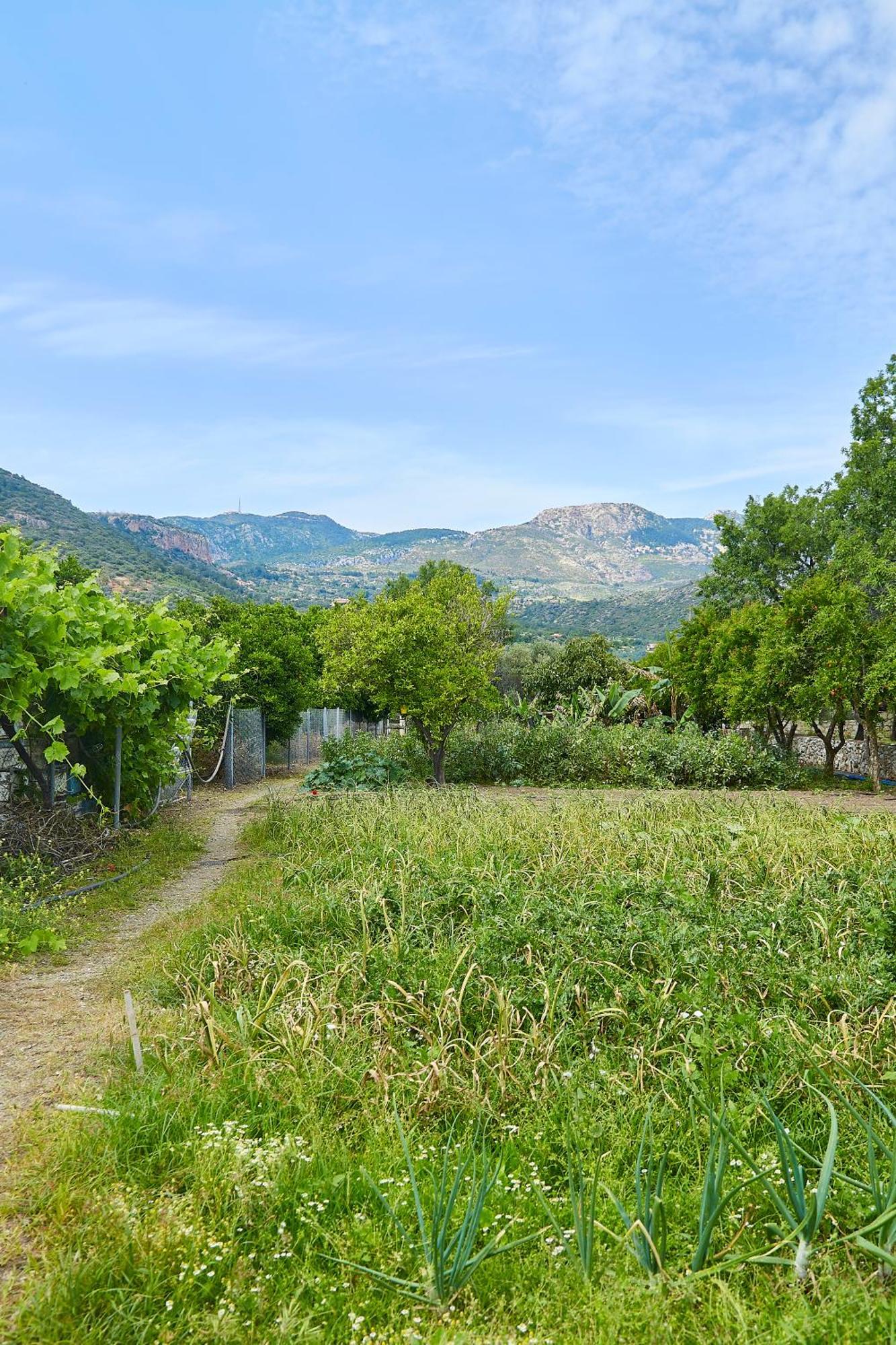 Melinda Pension & Restaurant Mesudiye (Datca) Exterior photo